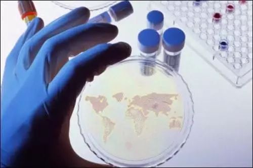 最新預(yù)測(cè)報(bào)告 未來(lái)全球石墨烯的九大發(fā)展趨勢(shì)